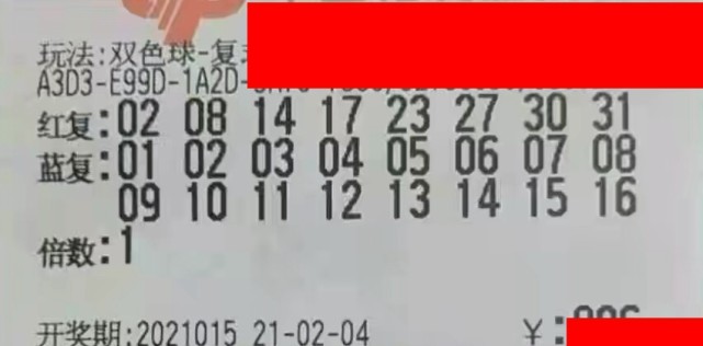 梦想与幸运 第32页