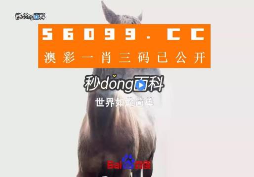 探索香港免费资料，揭秘王中王的奥秘