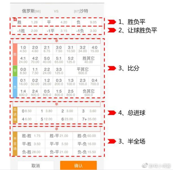 体育彩票购买指南，从入门到精通
