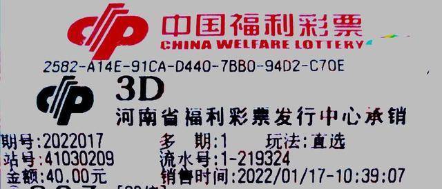 探索中国福利彩票3D的魅力与规则解析