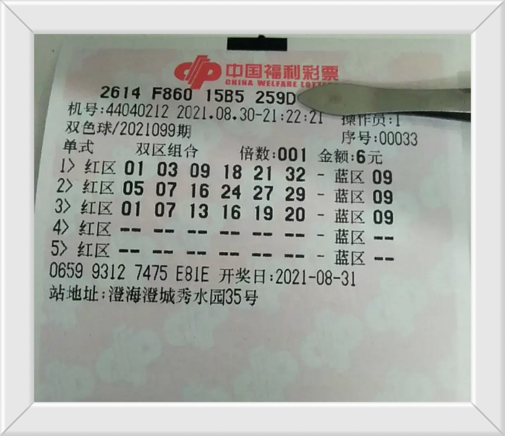2009年全年双色球开奖记录，回顾与解析