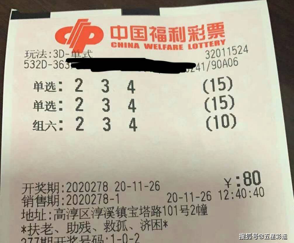 3D246期彩民的乐钱树图，梦想与现实的交织