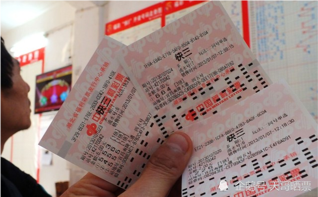 2023年双色球22141期开奖结果深度解析与彩民心声