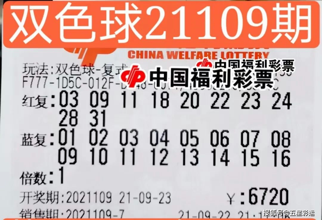 双色球开奖号码结果揭秘，1 1 奇迹与理性的碰撞