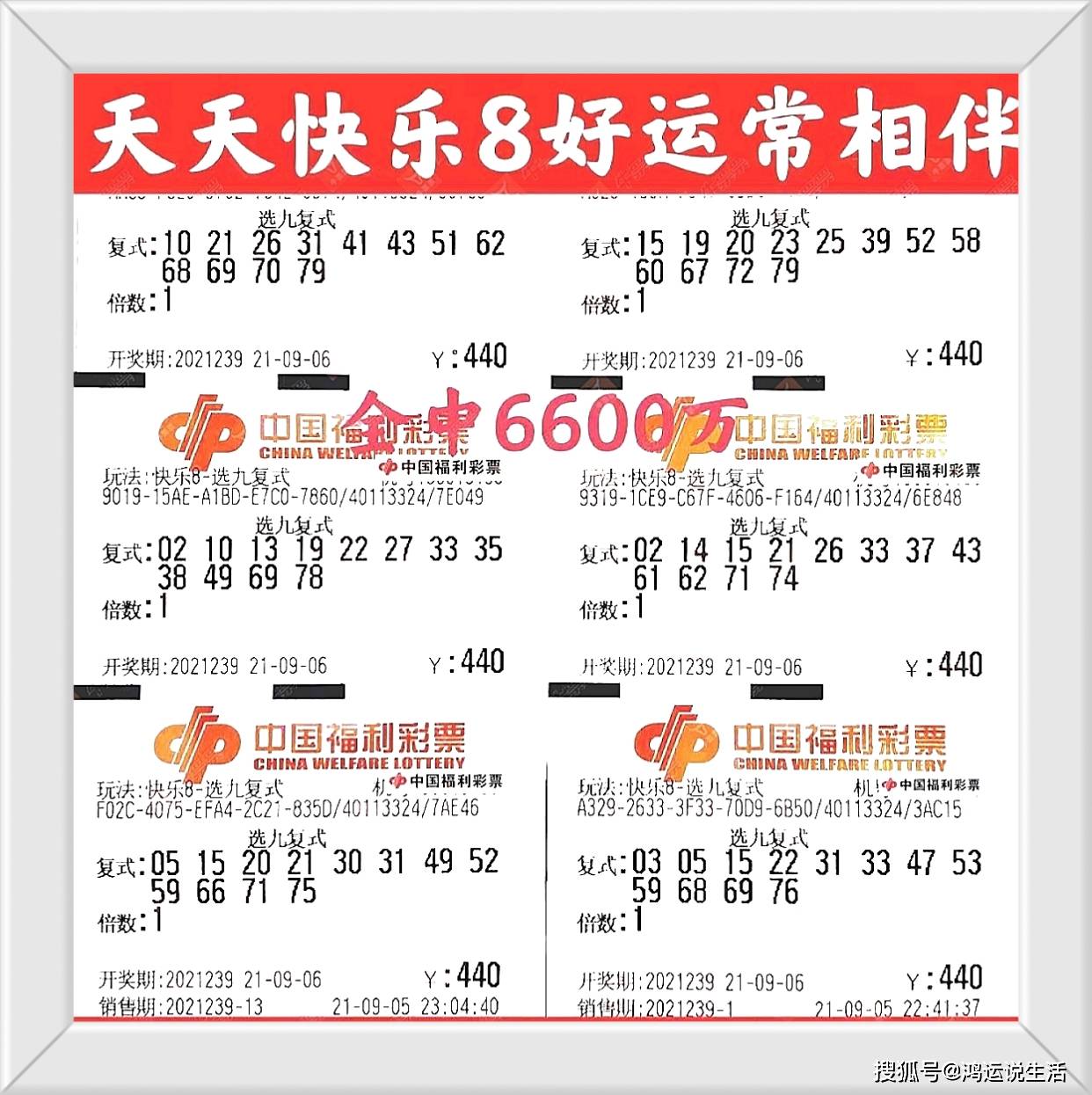 探索双彩福彩3D图谜，解锁幸运的数字密码