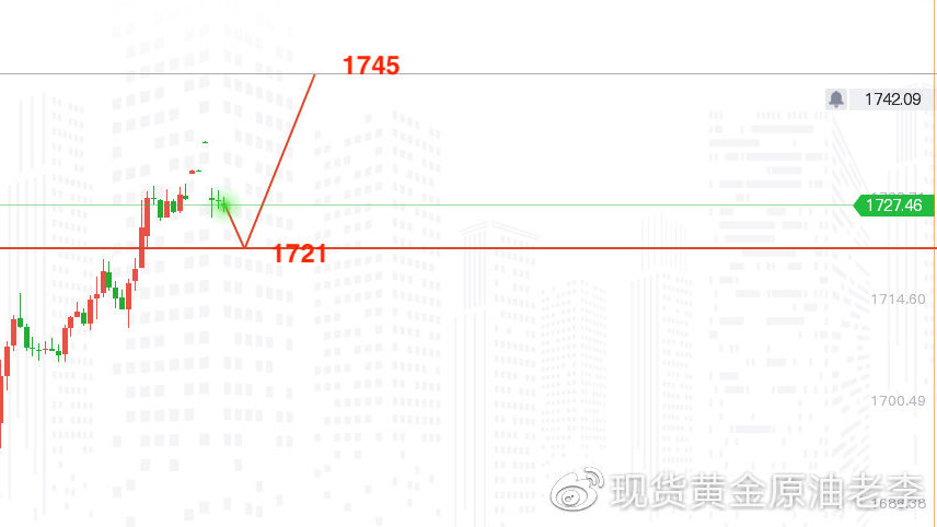 今日金价走势图，市场动态与投资策略分析