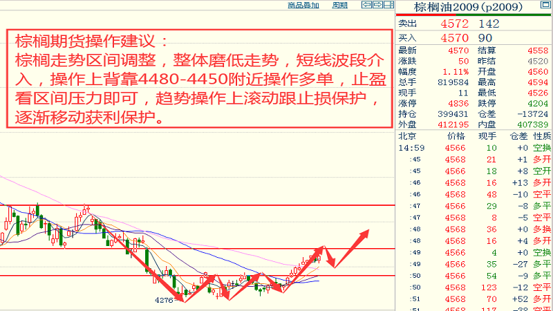 浙江20选5综合走势图，解析与展望