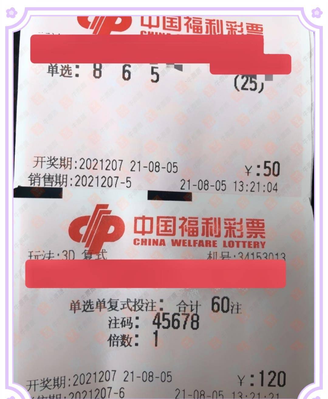 今日一搏，单挑一注100倍46的勇气与期待