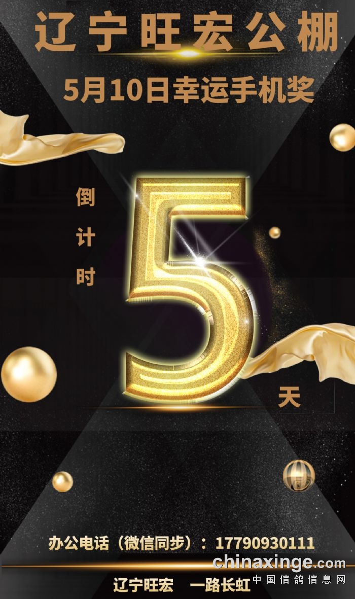 2021年辽宁12选5，数字背后的幸运与期待