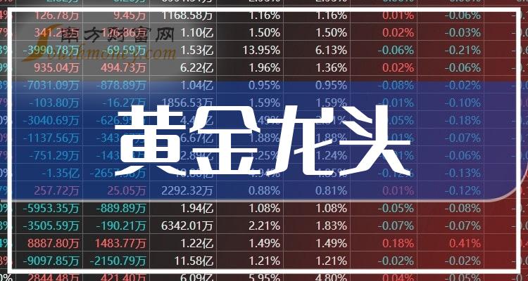 探索家彩千禧试机号与关注金码的奥秘