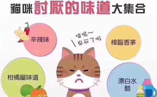 试机号口诀及定胆技巧，解锁3D走势图中的秘密