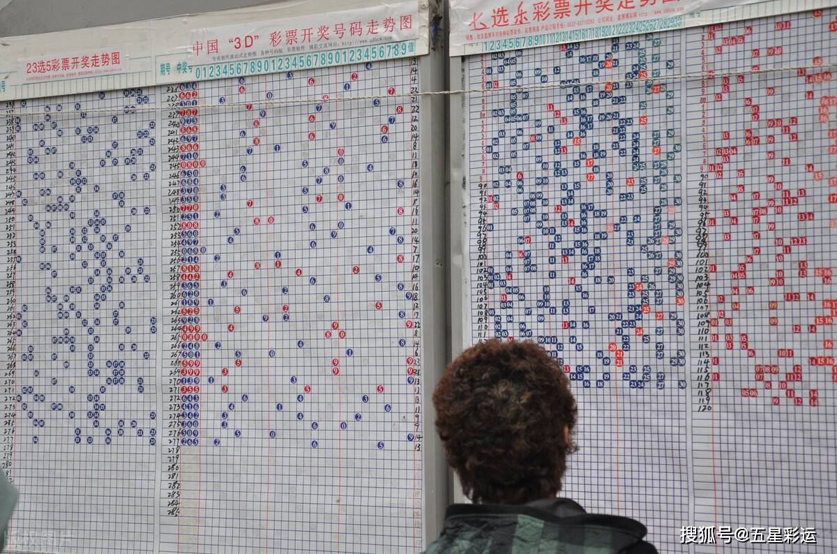 福彩3D丹东图迷的汇聚之地，探索数字与幸运的奇妙之旅