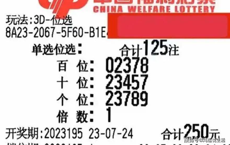 3D彩票，每日一注的乐趣与挑战