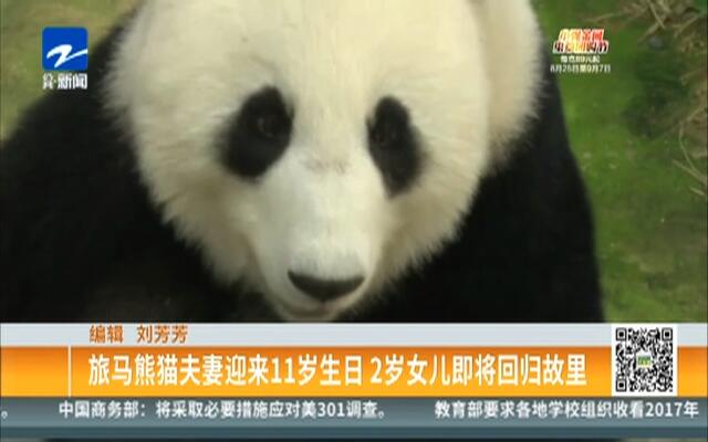 探索双色球开奖的神秘之旅，双色球开奖直播的在线魅力