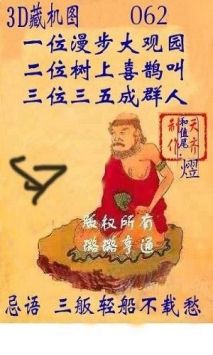 3D藏机图，正版解读与324期深度分析