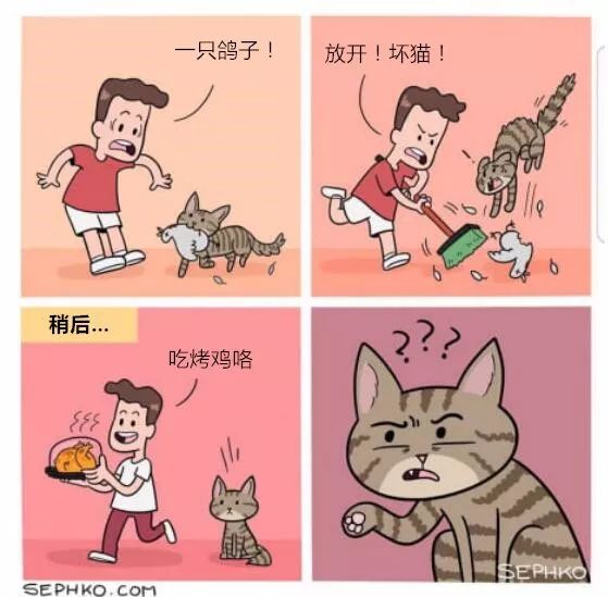 马后炮，是智慧的迟来还是无谓的指责？