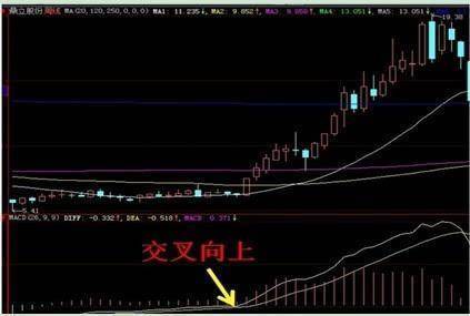 排列3走势图带连线，专业解读与实战应用