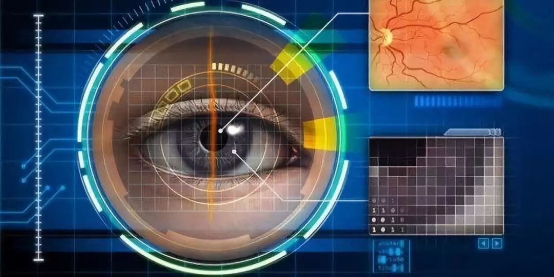 3D分析预测燕子迁徙，科技与自然的和谐交响