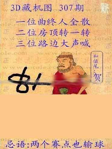 福彩3D字谜汇总，正版藏机图解析与策略指南