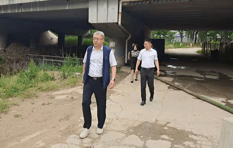 大乐透2020025期，梦想与幸运的交汇点