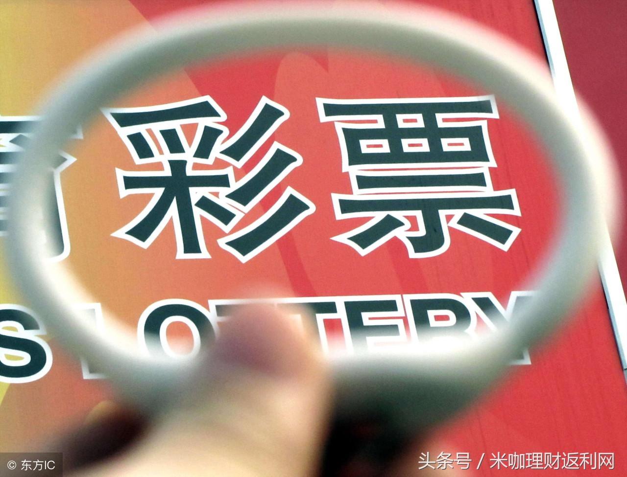 今晚特马开什么码，揭秘彩票背后的真相与理性思考