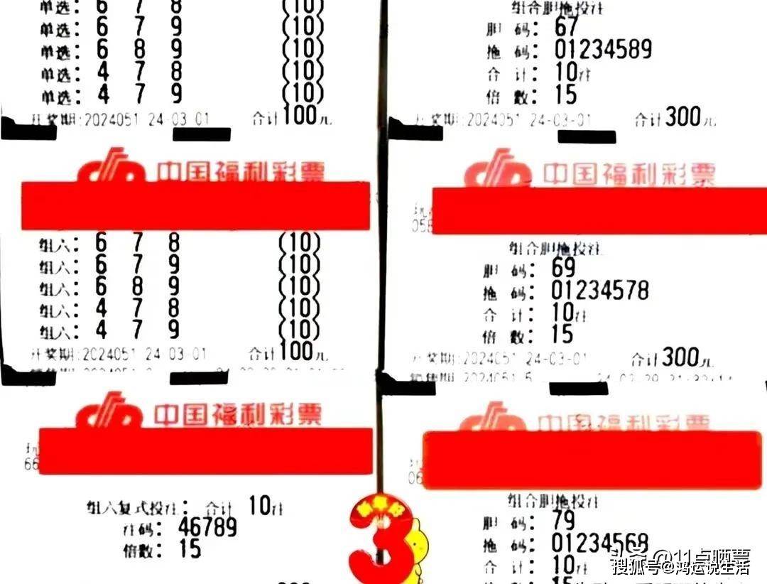胜负24020期推荐，深度解析与精准预测