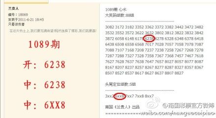 海南七星彩论坛大全，揭秘彩票背后的秘密与技巧