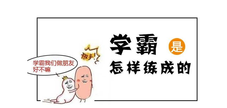 老杨的彩彩宝贝，岁月的馈赠与生活的智慧