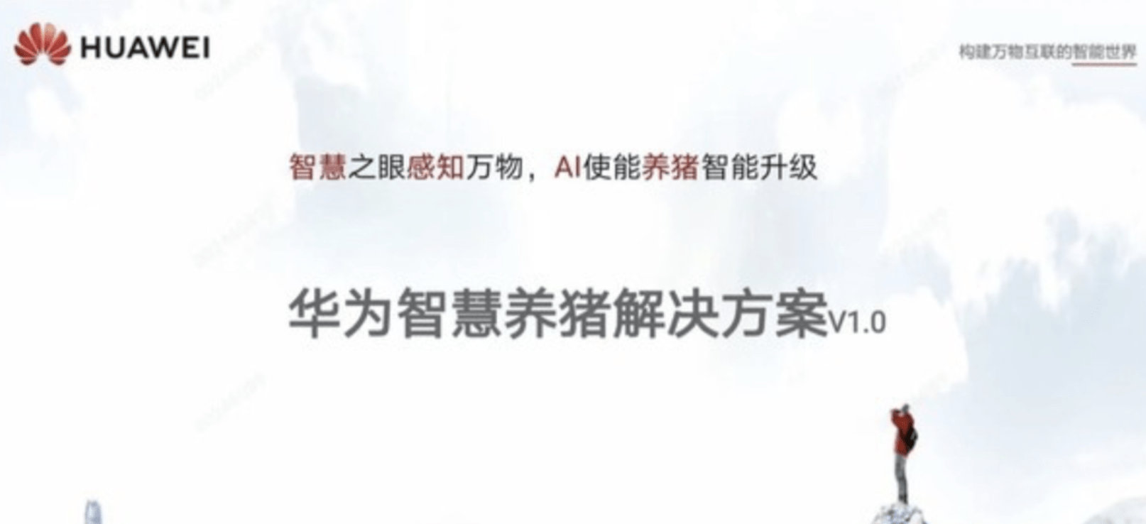 探索布衣图库中的3D图谜与字谜，一场视觉与智慧的盛宴