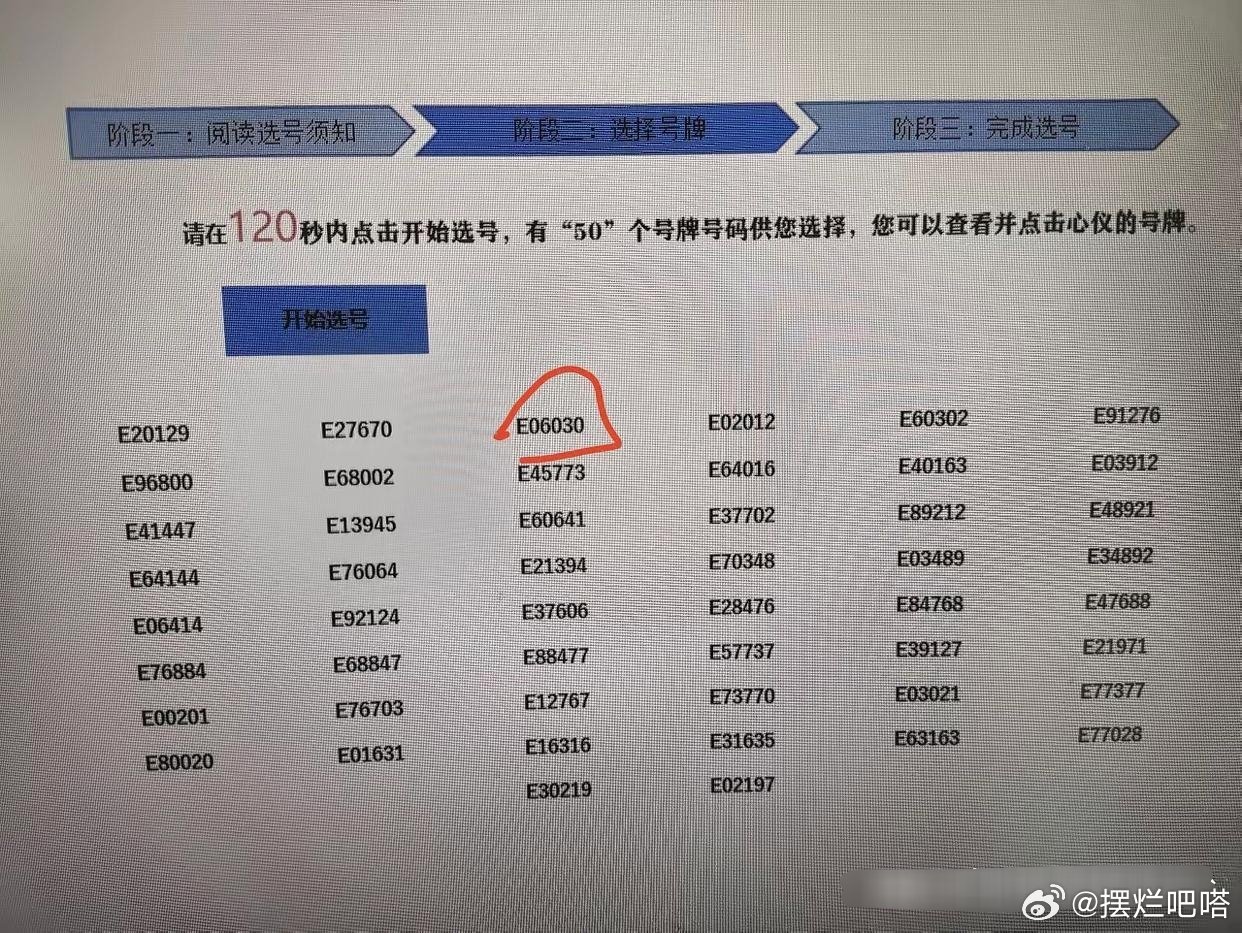 网上自选号牌，从入门到精通的全面指南