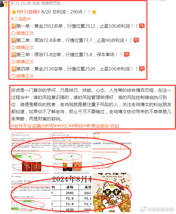 四肖选一肖，解锁精准预测的神秘面纱