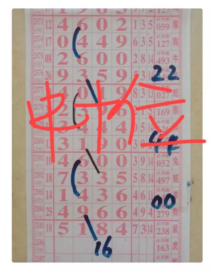 七星彩彩票，揭秘开奖结果查询的奥秘