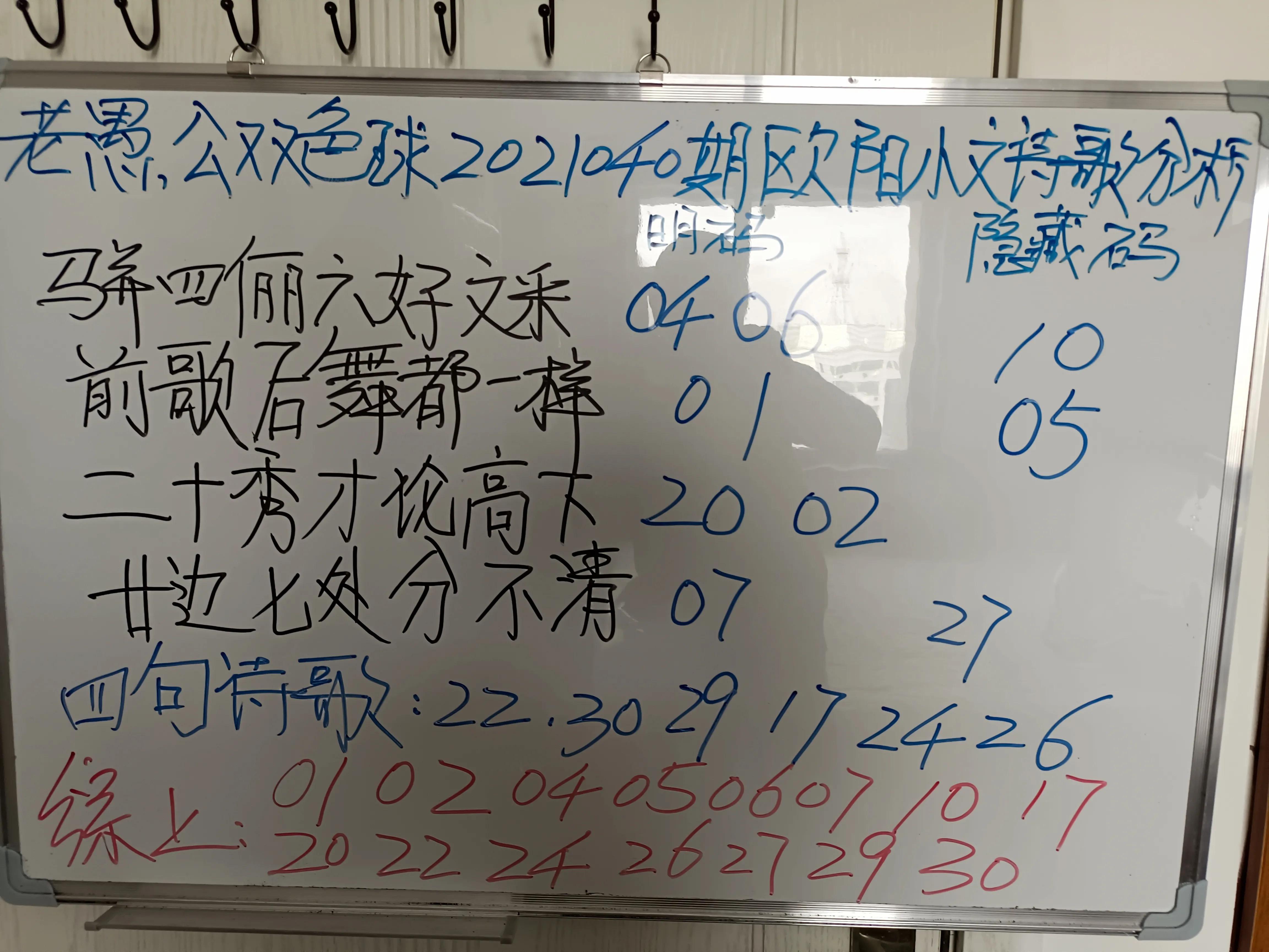 欧阳小文与双色球的文字迷世界，一场数字与梦想的奇妙碰撞