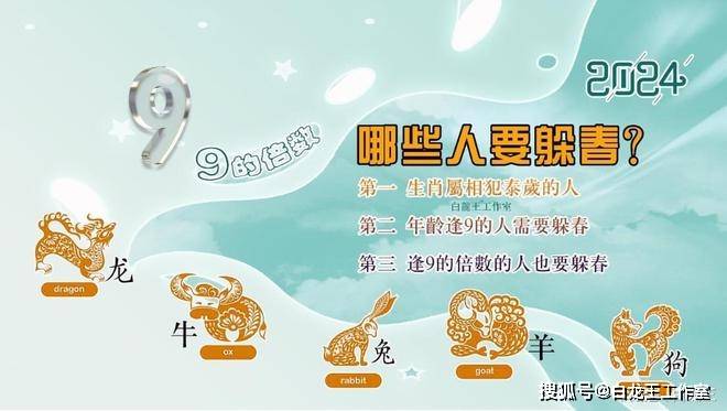 今日生肖揭秘，探寻属相的奥秘与影响