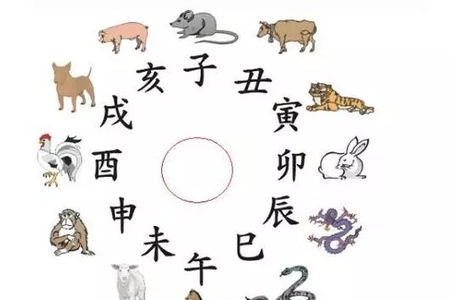 十二生肖特马开奖结果查询，揭秘背后的文化与科技