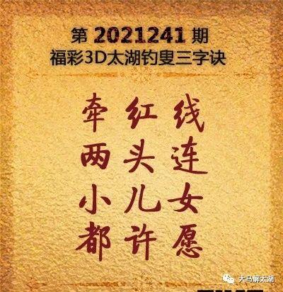 今日特马开奖结果揭晓，探索数字背后的幸运与期待
