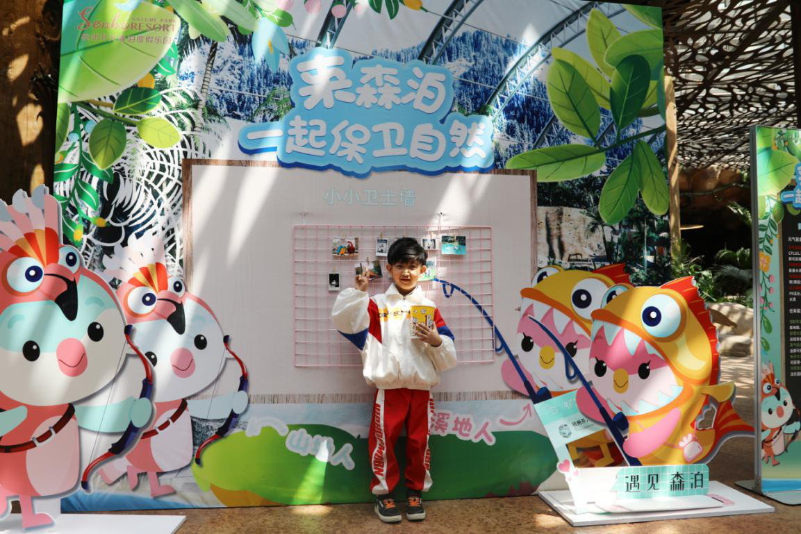 快乐8走势图，解锁数字彩票的趣味与策略