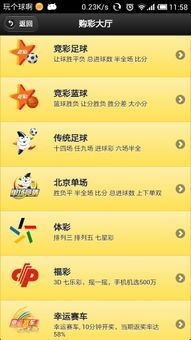 南方彩票网3D，探索数字与幸运的奇妙之旅