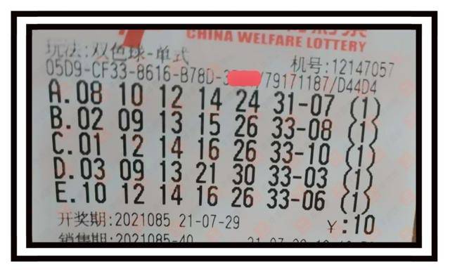 双色球2019110实票揭秘，理性购彩与幸运之门的微妙平衡