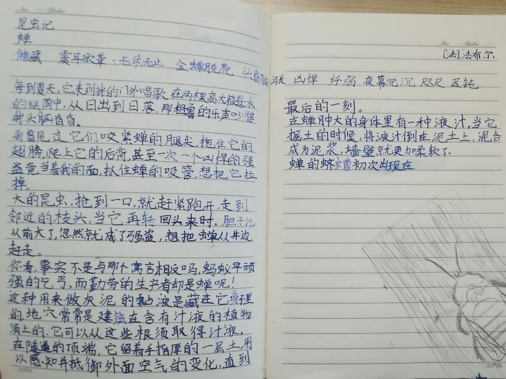 记录怎么写，一种生活与思考的双重艺术
