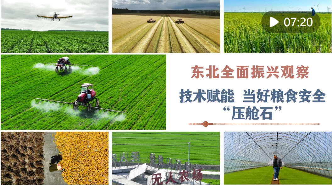 黑龙江省储开拍，粮食安全的黑土地守护者
