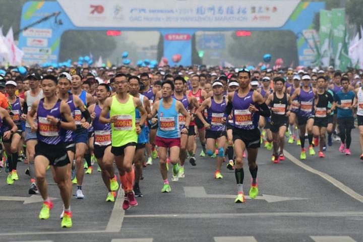 浙江省体育局地址，探索与服务的窗口