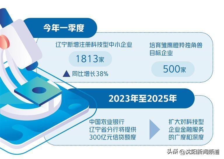 辽宁税务，创新服务，优化营商环境的新篇章