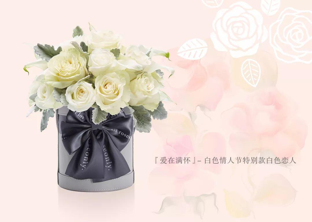 连裤袜 第67页