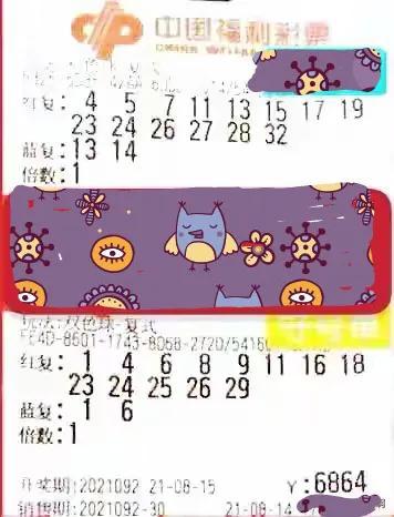 解析双色球9+1复式投注，价格、策略与中奖概率