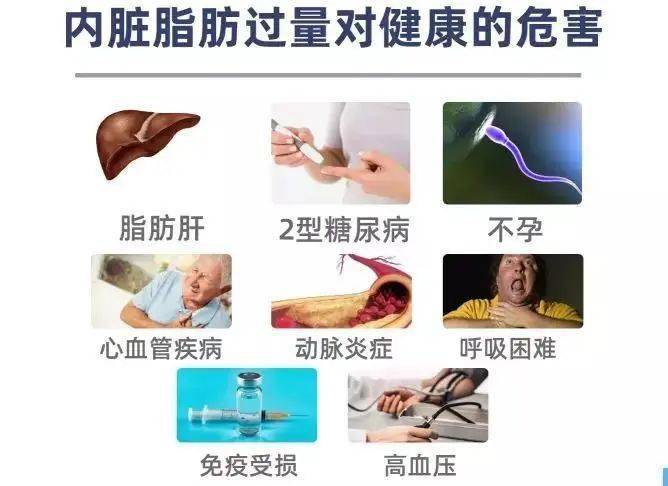 减掉大肚腩，科学运动指南与实用建议