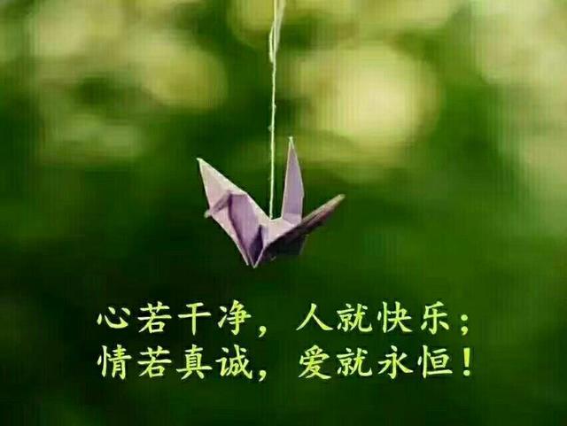 留在我心里的温暖—让爱住下来