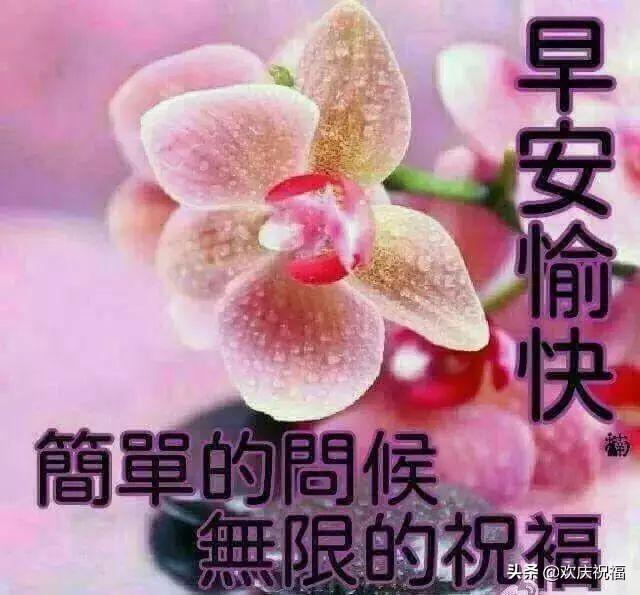 福彩快乐8，今晚的幸运之选—揭秘开奖结果与背后的故事