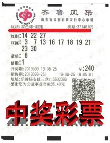 山东三地双色球开奖结果，梦想与幸运的碰撞