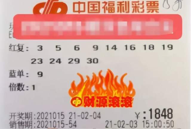 2014110期双色球开奖结果揭晓，幸运数字照亮梦想之路